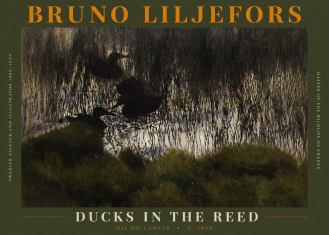 Bruno Liljefors Ducks in the Reed No3 - Poszter