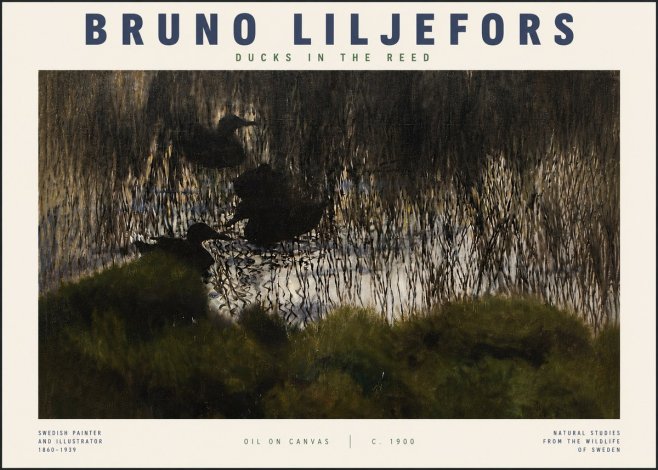 Bruno Liljefors Ducks in the Reed No4 - Poszter