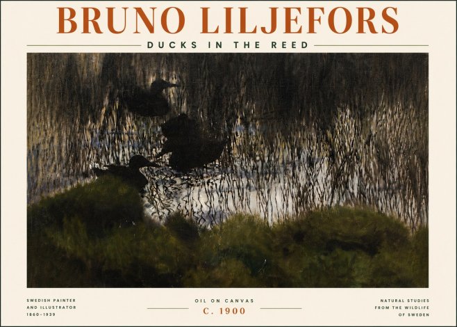Bruno Liljefors Ducks in the Reed No5 - Poszter