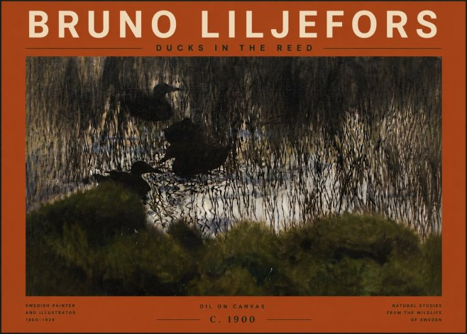 Bruno Liljefors Ducks in the Reed No6 - Poszter