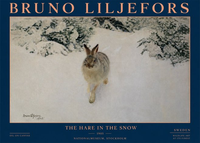 Bruno Liljefors The Hare in the Snow No4 - Poszter