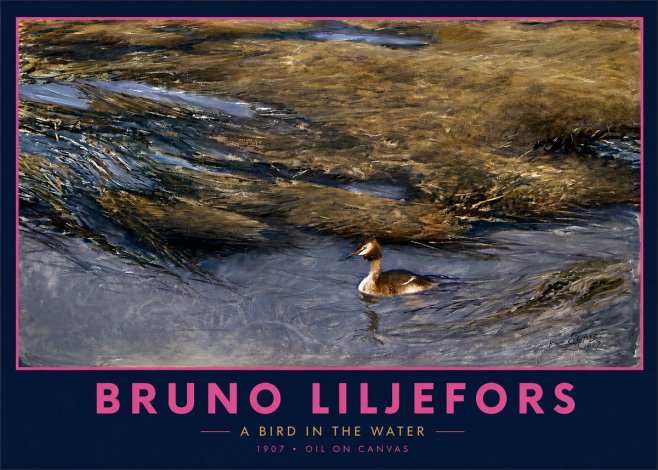 Bruno Liljefors A Bird in the Water No2 - Poszter