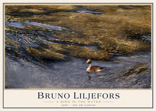 Bruno Liljefors A Bird in the Water No3 - Poszter