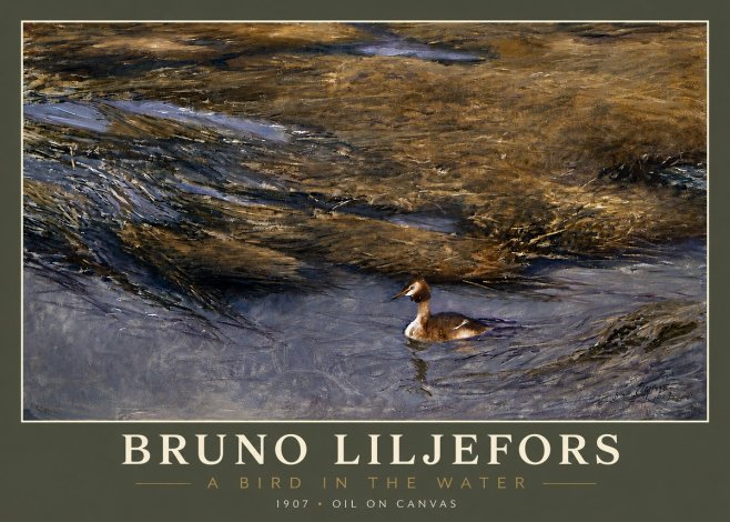 Bruno Liljefors A Bird in the Water No4 - Poszter