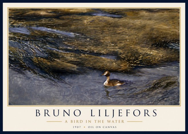 Bruno Liljefors A Bird in the Water No6 - Poszter