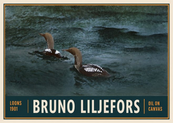 Bruno Liljefors Loons · 1901 No2 - Poszter