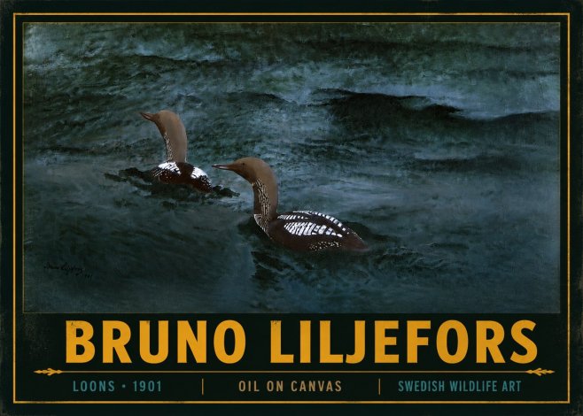 Bruno Liljefors Loons · 1901 No4 - Poszter