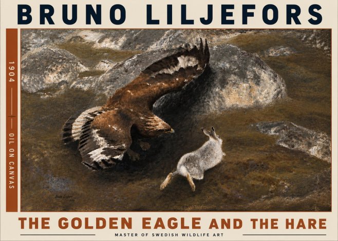 Bruno Liljefors The Golden Eagle and the Hare, 1904 No6 - Poszter