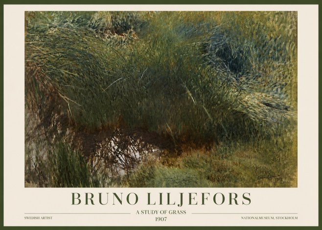 Bruno Liljefors A Study of Grass No3 - Poszter