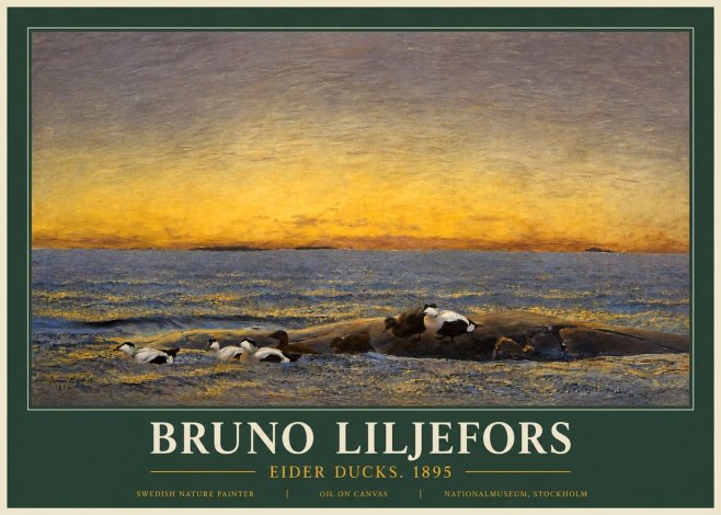 Bruno Liljefors Eider Ducks. 1895 No3 - Poszter