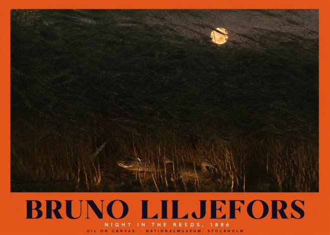 Bruno Liljefors Night in the Reeds No2 - Poszter