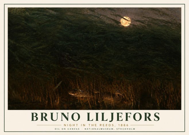 Bruno Liljefors Night in the Reeds No6 - Poszter