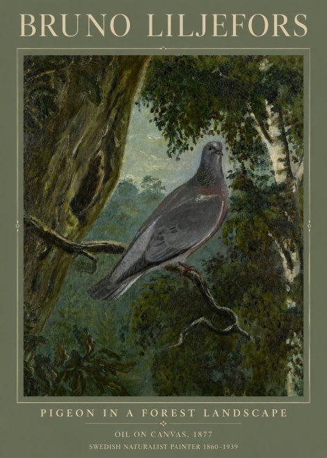 Bruno Liljefors Pigeon in a Forest Landscape No3 - Poszter