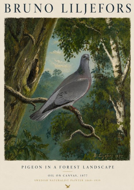 Bruno Liljefors Pigeon in a Forest Landscape No4 - Poszter
