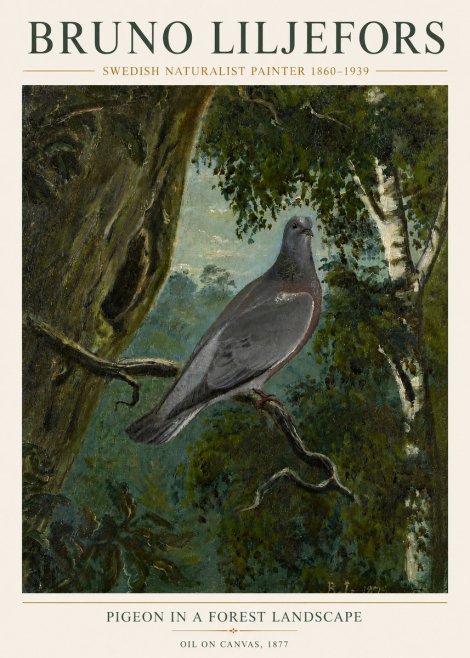 Bruno Liljefors Pigeon in a Forest Landscape No6 - Poszter