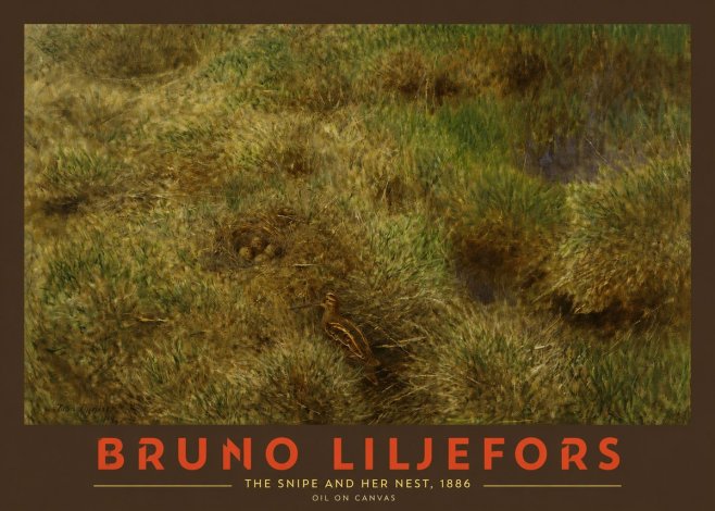 Bruno Liljefors The Snipe and Her Nest No2 - Poszter