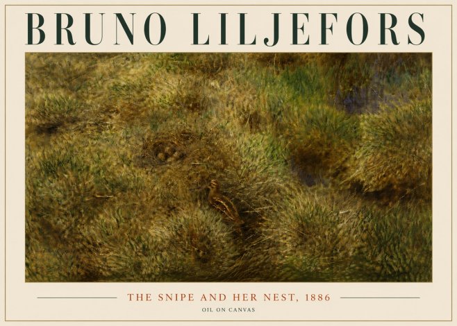 Bruno Liljefors The Snipe and Her Nest No6 - Poszter
