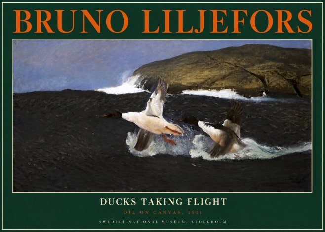 Bruno Liljefors Ducks Taking Flight No2 - Poszter