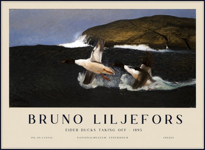 Bruno Liljefors Ducks Taking Flight No3 - Poszter