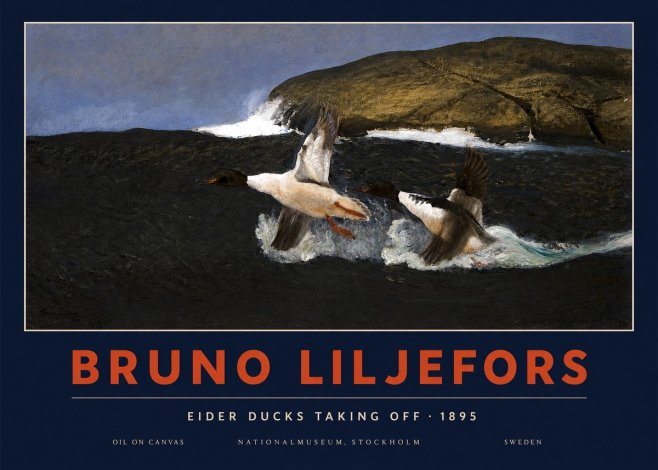 Bruno Liljefors Ducks Taking Flight No4 - Poszter