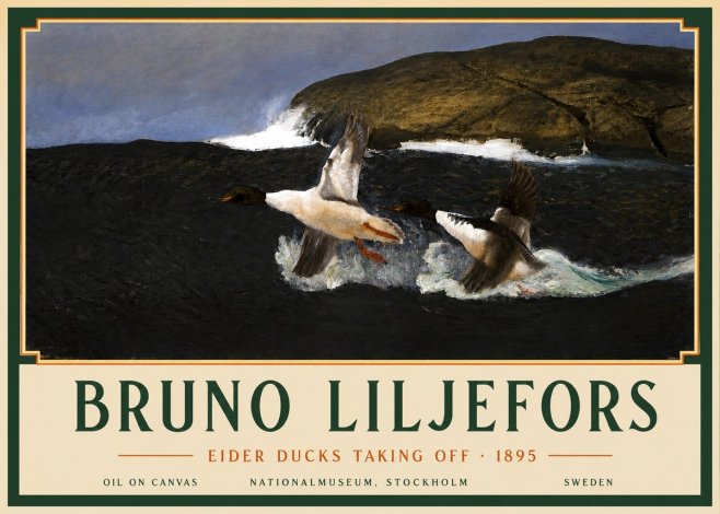 Bruno Liljefors Ducks Taking Flight No5 - Poszter