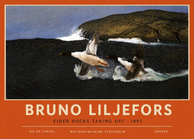 Bruno Liljefors Ducks Taking Flight No6 - Poszter