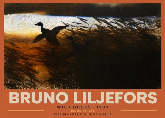 Bruno Liljefors Wild Ducks II No2 - Poszter