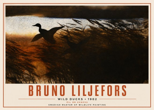 Bruno Liljefors Wild Ducks II No4 - Poszter