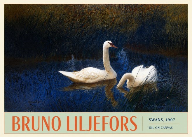 Bruno Liljefors Swans, 1907 No3 - Poszter