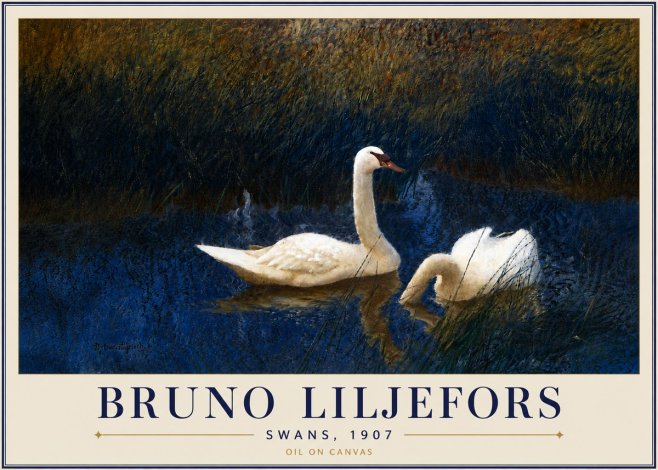 Bruno Liljefors Swans, 1907 No5 - Poszter