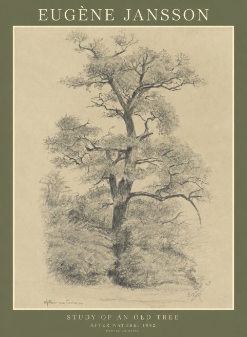Eugène Jansson Study of an Old Tree No1 - Poszter