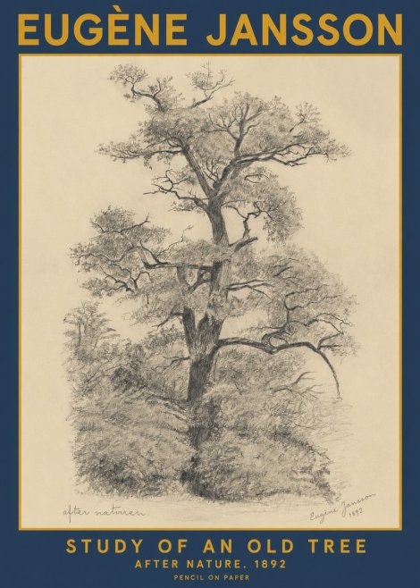 Eugène Jansson Study of an Old Tree No2 - Poszter