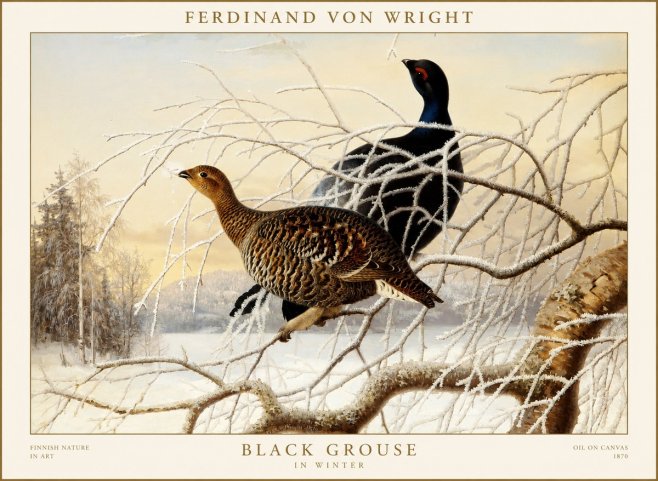 Ferdinand von Wright Black Grouse in Winter No1 - Poszter