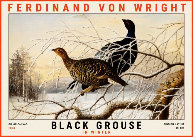 Ferdinand von Wright Black Grouse in Winter No5 - Poszter