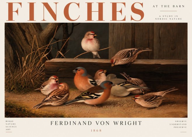 Ferdinand von Wright Finches No5 - Poszter