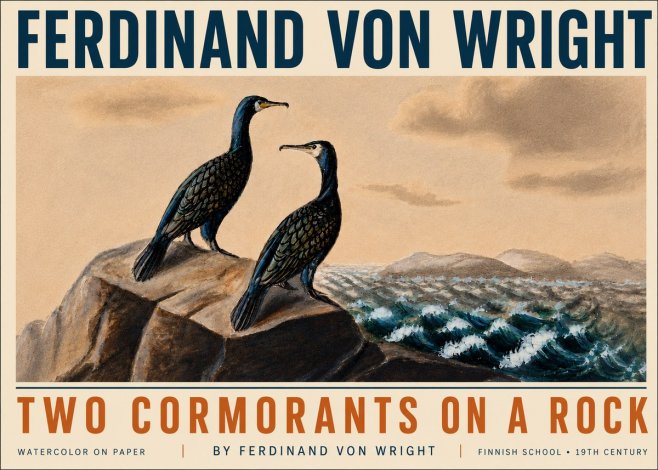Ferdinand von Wright Two Cormorants on a Rock No5 - Poszter
