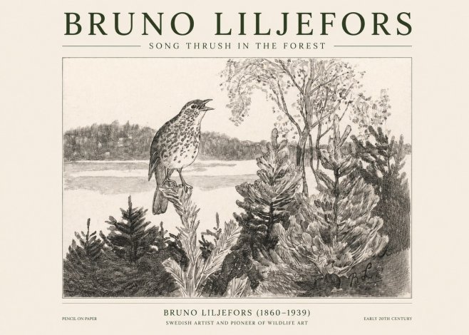 Bruno Liljefors Song Thrush in the Forest No1 - Poszter