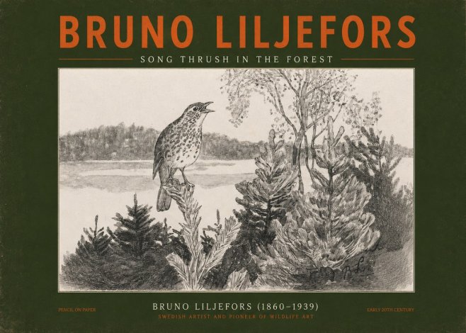 Bruno Liljefors Song Thrush in the Forest No2 - Poszter