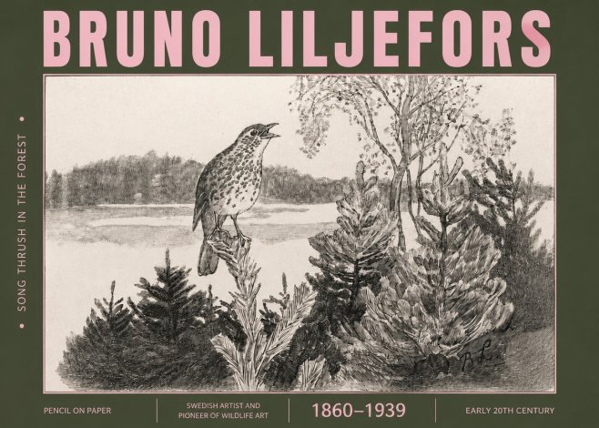 Bruno Liljefors Song Thrush in the Forest No4 - Poszter