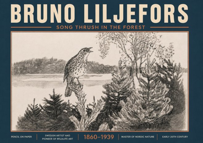 Bruno Liljefors Song Thrush in the Forest No6 - Poszter
