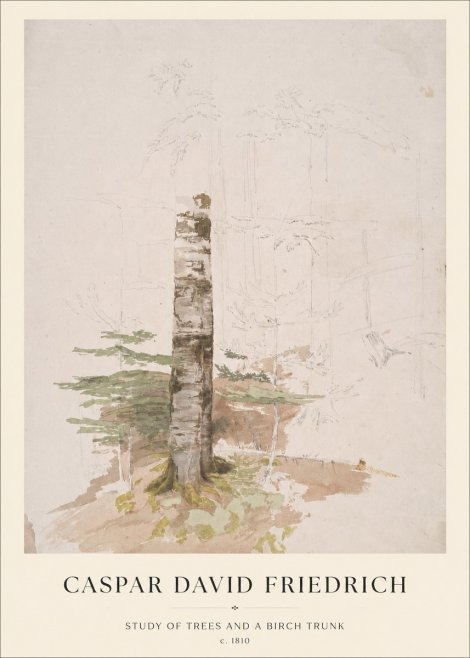 Caspar David Friedrich Study of Trees and a Birch Trunk No1 - Poszter