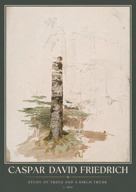 Caspar David Friedrich Study of Trees and a Birch Trunk No5 - Poszter