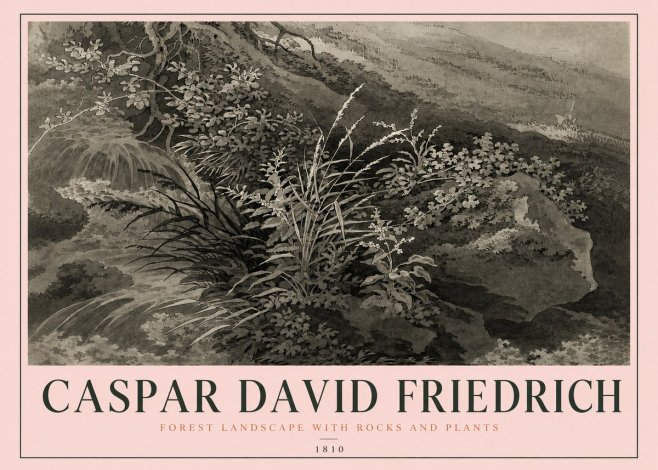 Caspar David Friedrich Forest Landscape with Rocks and Plants No4 - Poszter