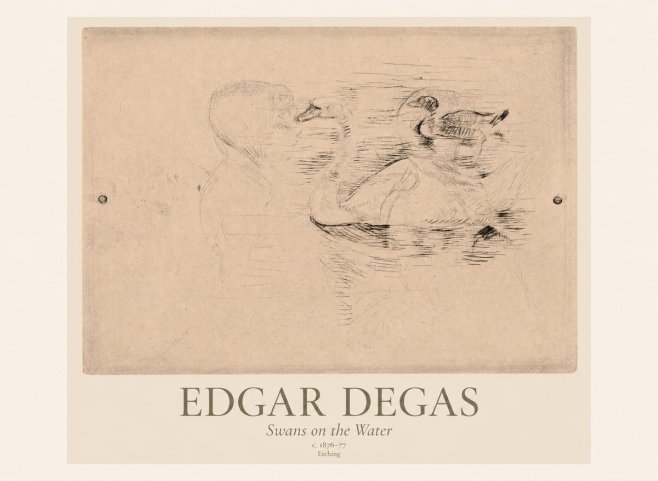 Edgar Degas Swans on the Water No1 - Poszter