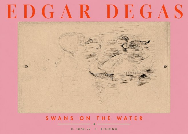 Edgar Degas Swans on the Water No3 - Poszter