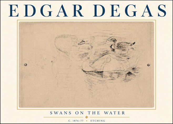 Edgar Degas Swans on the Water No6 - Poszter
