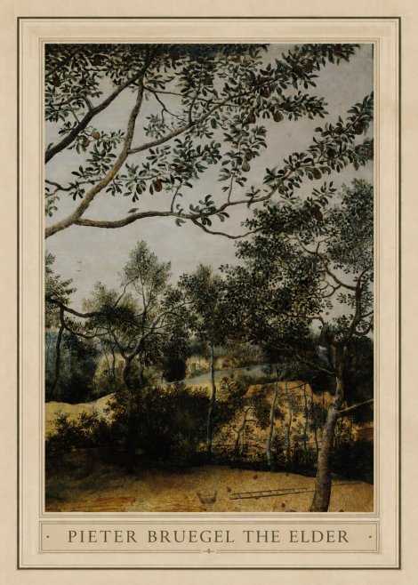 Pieter Bruegel Branch of a Pear Tree No1 - Poszter