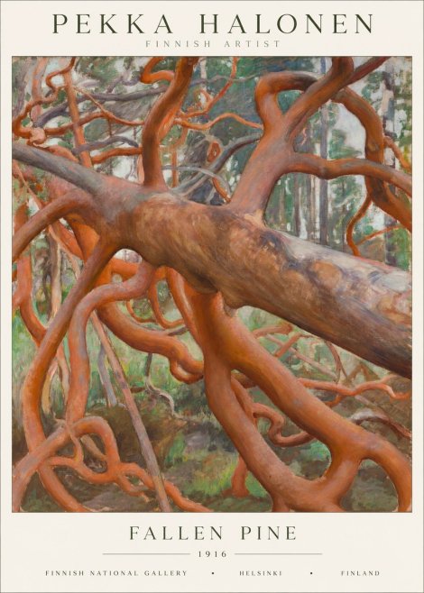 Pekka Halonen Fallen Pine No1 - Poszter