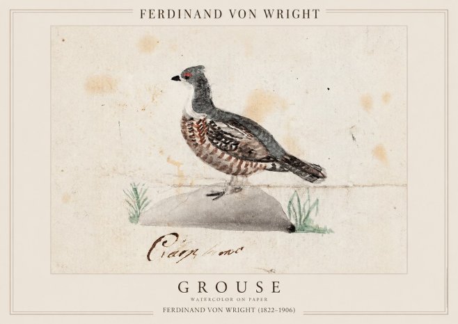 Ferdinand von Wright Grouse No1 - Poszter