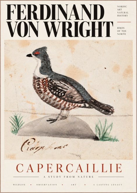 Ferdinand von Wright Grouse No6 - Poszter